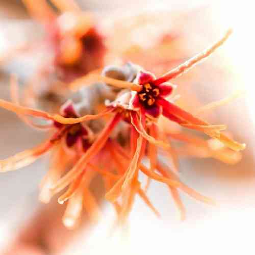 مهرداد علی آبادی پر زد و رفت حتی برام خط و نشونم نکشید